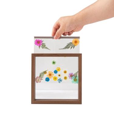 Imagem de Quadro de Espécimes Flores Secas e Folhas Madeira com Vidro Real Fotos Casamento Decoração Mesa para Casa Escritório Presente