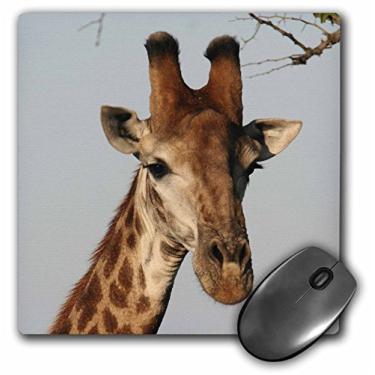 Imagem de 3dRose LLC Mouse pad 20 x 20 x 0,65 cm, fundo de cabeça de girafa sul-africana (mp_20123_1)