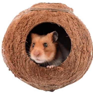 Imagem de Sugar Glider House Climb Toys Natural Coconut Shell Hut Hide Out Ninho para rato, Hamster, Esquilo, Pássaro, Periquito, Gaiola Habitats (A)