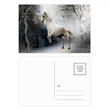 Imagem de Conjunto de cartão postal White Horse Science Nature Scenery Cartão de felicitações de aniversário