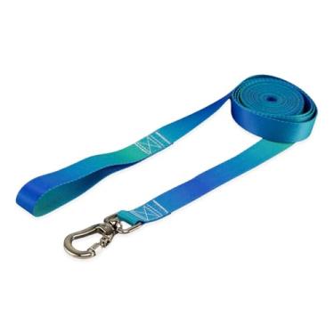 Imagem de Basic Pet Coleira Guia 10 Metros Para Cães Cachorro Adestramento Passeio Porte Grande Médio Pequeno (Lake, P)