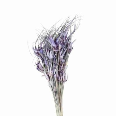 Imagem de Capim Estrela Lilás Desidratado - Pense Flores