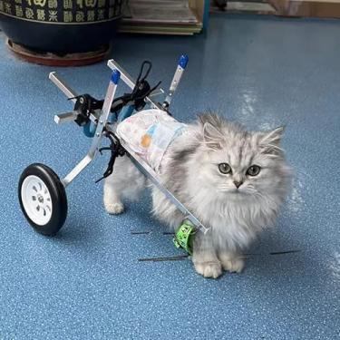 Imagem de Cadeira de rodas leve para animais de estimação para gatos e cães - Carrinho de apoio de perna ajustável para PPP a XS, arnês macio e suporte de perna com rodas, perfeito para animais pequenos.