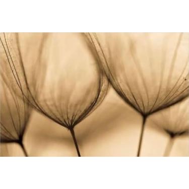 Imagem de Quadro Decorativo Floral Raio-X Sepia, Tela em Canvas ideal para Sala, Quarto e Hall de entrada(100x70 cm)