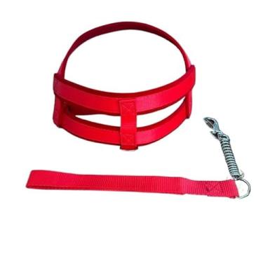 Imagem de Coleira peitoral para cachorros de medio grande porte pet resistente dog reforçada (VERMELHO,GG)