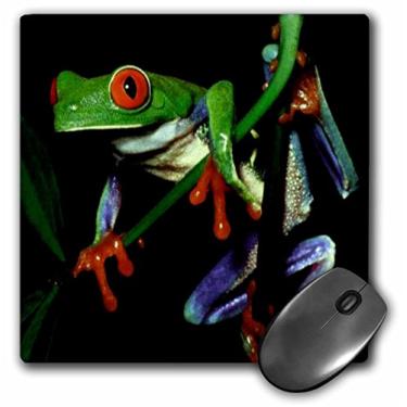 Imagem de 3dRose Mouse pad LLC 20 x 20 x 0,63 cm, sapo (mp_1323_1)