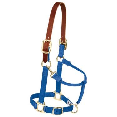 Imagem de Weaver Leather Cabresto de cavalo ajustável de nylon, médio, azul
