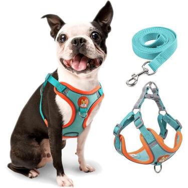 Imagem de Coleira Peitoral Coleira Para Cachorro Com Guia Para Pet Pequenos E Médios Colete Confortável Cor:azul