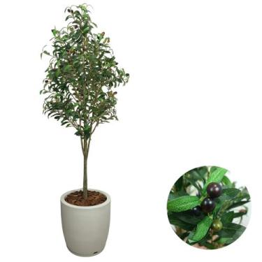 Imagem de Árvore Oliveira Artificial Premium E Vaso Bojo Completo Casa - PlantaI