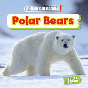 Imagem de Polar Bears