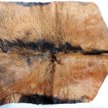 Imagem de Baixeiro Bode Cabrito Legitimo Manta Forro Sela Cavalo - AF COUROS