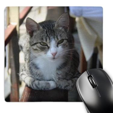 Imagem de 3dRose Lindo gato malhado - sentado na cerca - mouse pad, 20,3 x 20,3 cm (mp_195377_1)