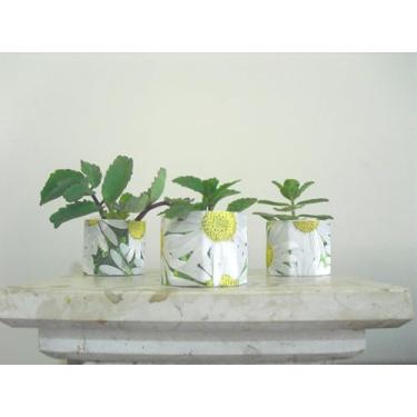Imagem de Mini Vaso Decorativo com Estampa de Margaridas, 5x5x5cm, Impermeável, para Suculentas, Velas e Lembrancinhas 20 pçs