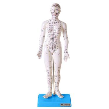Imagem de Manequim Acupuntura Feminino 50 Cm