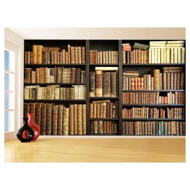 Imagem de Papel De Parede 3D Estante De Livros Fundo Vídeo 3,5M Est10