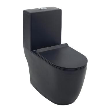 Imagem de Vaso Sanitário Monobloco com Caixa Acoplada Amazonita Pingoo.