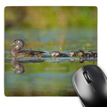 Imagem de 3dRose Mouse pad LLC 20 x 20 x 0,63 cm, Washington, natação de pato de madeira, Gary Luhm (mp_95631_1)
