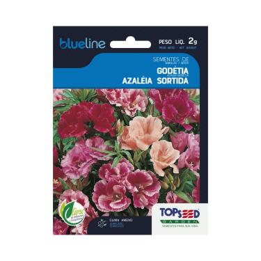 Imagem de Sementes de Godétia Azaleia Sortida, 2g, Flores em Tons de Rosa, Clima Ameno