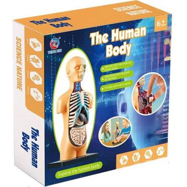 Imagem de Ciencia do Corpo Humano - Nettoy