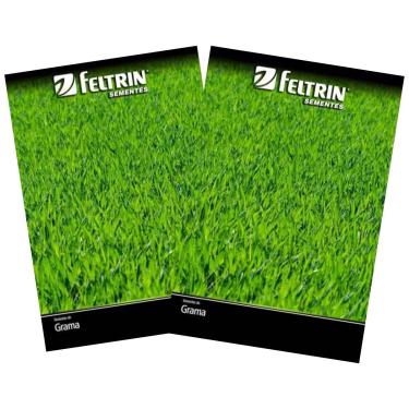 Imagem de FELTRIN, 2X Sementes de Grama Jesuíta São Carlos para Jardim FELTRIN