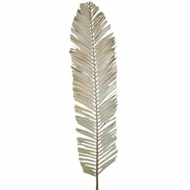Imagem de Planta Seca Palmeira Leque 70cm - Pense Flores