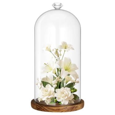 Imagem de Suclain 1 peça de cúpula de exibição cloche de vidro com alça de diamante 25,4 cm de vidro decorativo transparente com base de madeira para exibição de mesa para plantas, brinquedo, colecionáveis
