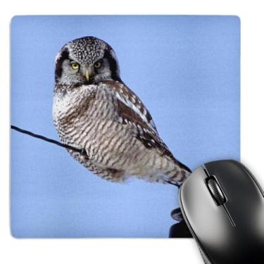 Imagem de 3dRose LLC 20,3 x 20,3 x 0,63 cm Coruja Northern Hawk empoleirada em um mouse pad Bernard Friel (mp_91321_1)