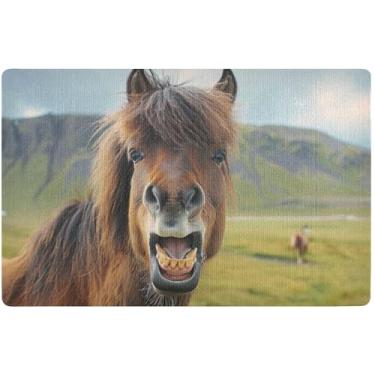 Imagem de TSENQUE Tapete de porta sorridente de cavalo fofo personalizado tapete engraçado outono externo tapete absorvente antiderrapante capacho entrada ao ar livre 81 x 50 centímetros