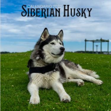 Imagem de Siberian Husky Calendario 2022: Calendario 2022 8.5''x8.5'' - Regalos para familiares y amigas amigos - Animales divertidos