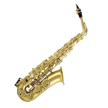 Imagem de Saxofone profissional de sopro alto em latão laqueado dourado com estojo e acessórios