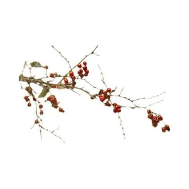 Imagem de Pôster De Lona Para Parede De Galeria De Natal De Inverno, Impressão V