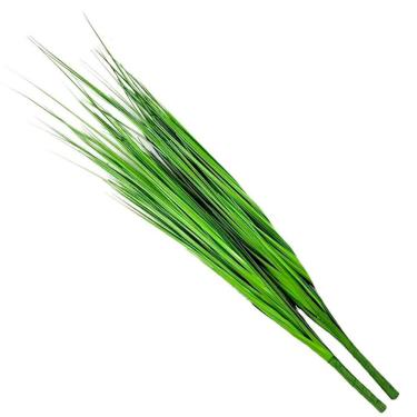 Imagem de Kit 6 Folhagens Capim Verde Artificial 78cm