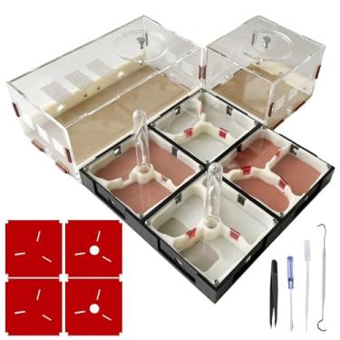 Imagem de Ants Footsteps Ant Farm Nest Science DIY Terrarium Kit Care for Live Ants Ant Habitat with Water Tower Nurturing Room and Comprehensive Observation