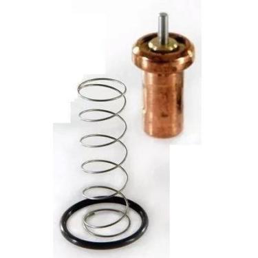 Imagem de Kit Reparo Válvula Termostática Do Chicago Pneumatic Cpm-15 - Arcompri