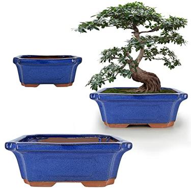 Imagem de Muzhi Conjunto de 3 vasos de cerâmica retangular bonsai árvore conjunto de 15 cm + 17 cm + 23 cm, cacto suculento vaso azul vitrificado com telas de furo de malha