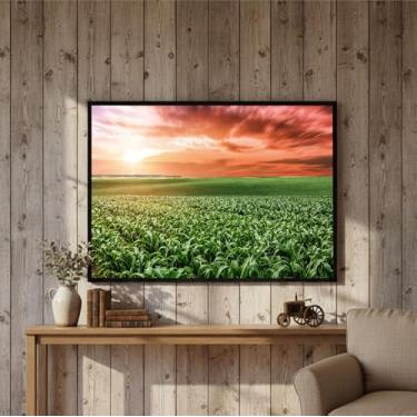 Imagem de Quadro Decorativo Grande Agro Plantação Sala Escritório 100x70 (01)