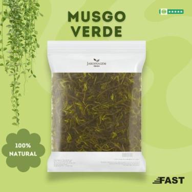 Imagem de Musgo Verde 400g (10Lts) para Orquídeas, Decoração, Terrários, Jardins