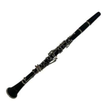 Imagem de Clarinete Dreamer FT6402N Nova