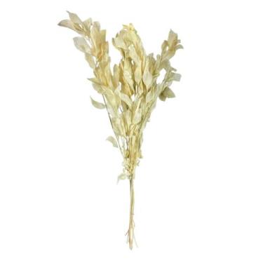 Imagem de Buquê de Folhagem Ruscus - FLORA FULL