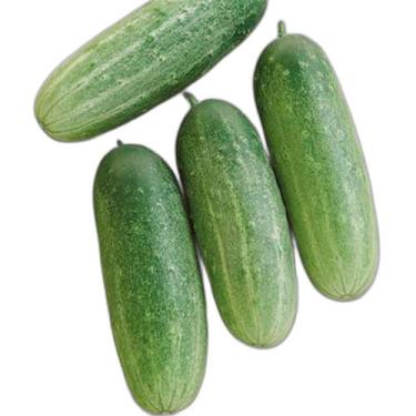 Imagem de Semente Hortaliça/Verdura/Especiaria monte seu kit personalizado - Alp