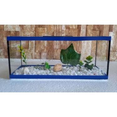 Imagem de Aquário Beteira Retangular 4 Litros até a borda 30cm II Para Peixe Bet