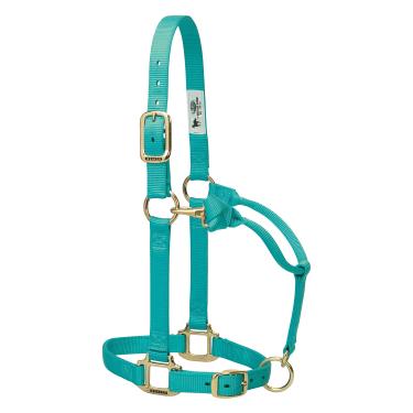 Imagem de Weaver Leather Halter de cavalo de nylon ajustável original, anual e menta