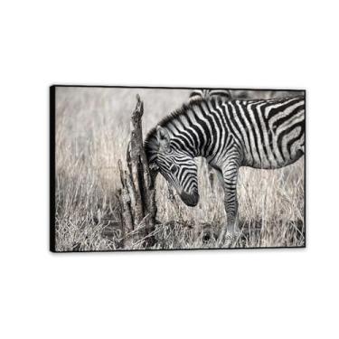Imagem de Imagens de animais em preto e branco para decoração de parede Imagem de animal zebra com cabeça para baixo pensando imagem de cavalo em tela pintura de arte de parede zebra decoração de parede para