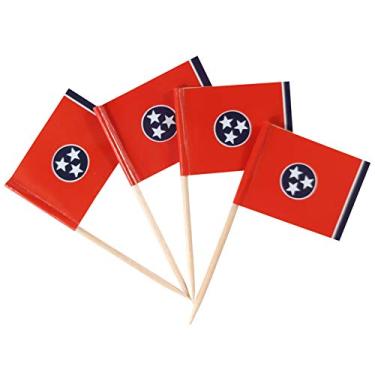 Imagem de JBCD Tennessee Toothpick Flag Mini Small Cupcake Topper Flags (100 pcs)