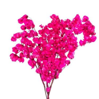 Imagem de Kit de 10 bougainville Pink - Flores Desidratadas - Pense Flores