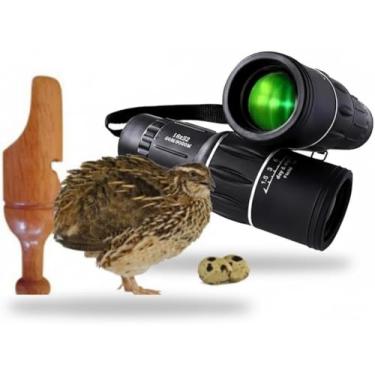 Imagem de Apito De Madeira Codorna Modelo 28 + Luneta Observação de Pássaros
