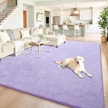 Imagem de Chicrug Tapetes minimalistas laváveis 12 x 18 cm para quarto, sala de estar, sala de aula, tapete moderno de espuma viscoelástica macia para berçário infantil, tapete interno de camada baixa para