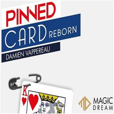 Imagem de Pinned Card Reborn Damien Vappereau B+