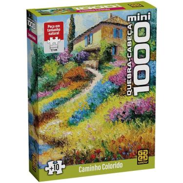 Imagem de Mini Quebra-cabeça 1000 peças Caminho Colorido