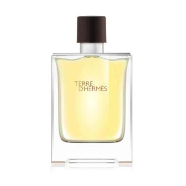 Imagem de Perfume Hermès Terre Dhermès Masc Edt 100ml - Terre D Hermes